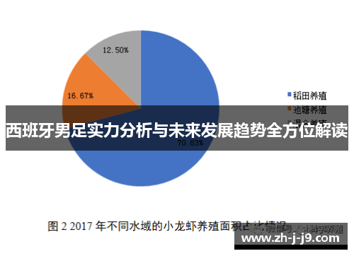 西班牙男足实力分析与未来发展趋势全方位解读
